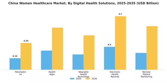 China Womens Healthcare Market Segment Image 0