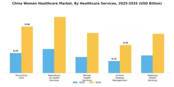 China Womens Healthcare Market Segment Image 2