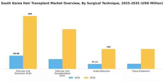 South Korea Hair Transplant Market Segment Image 3