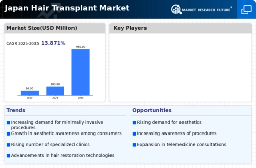 Japan Hair Transplant Market Infographic
