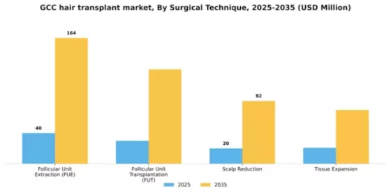 GCC Hair Transplant Market Segment Image 3