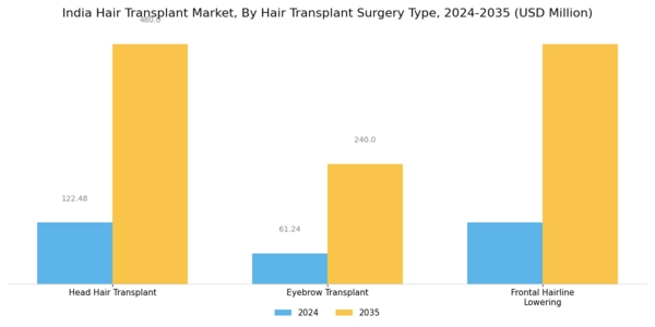 India Hair Transplant Market Segment Image 1