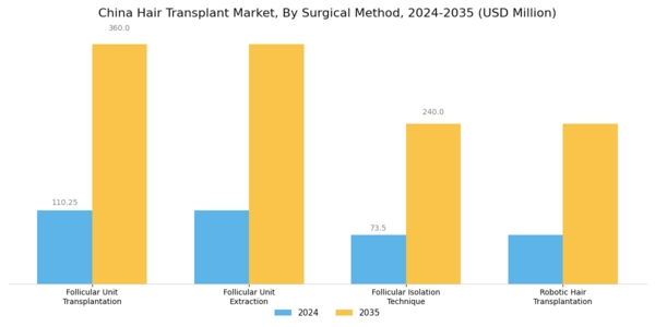 China Hair Transplant Market Segment Image 0
