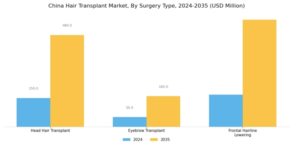 China Hair Transplant Market Segment Image 1