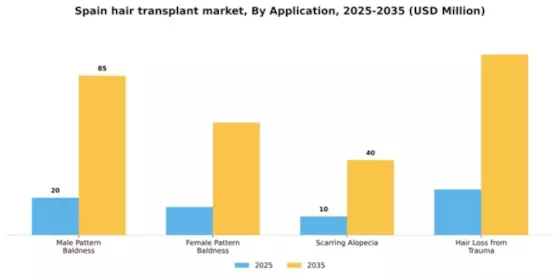 Spain Hair Transplant Market Segment Image 0