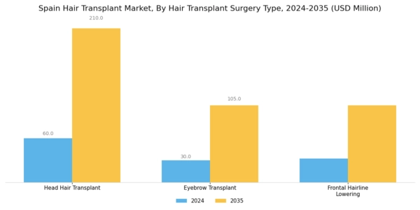 Spain Hair Transplant Market Segment Image 1