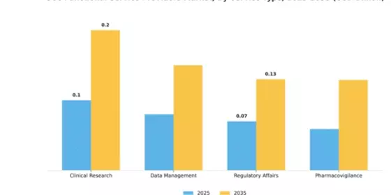 GCC Functional Service Providers Market Segment Image 3