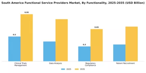 South America Functional Service Providers Market Segment Image 1