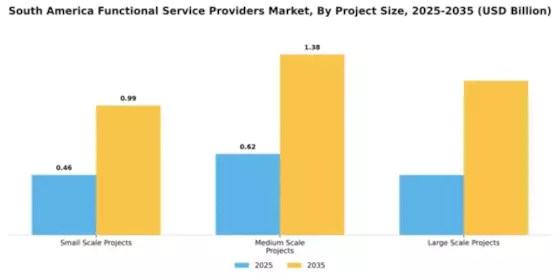 South America Functional Service Providers Market Segment Image 2