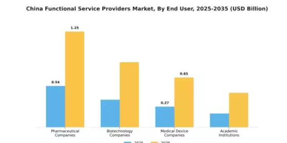 China Functional Service Providers Market Segment Image 0