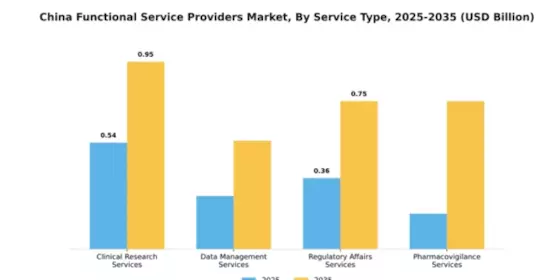 China Functional Service Providers Market Segment Image 3