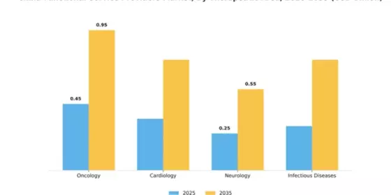 China Functional Service Providers Market Segment Image 4