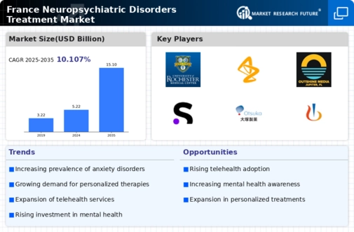 France Neuropsychiatric Disorders Treatment Market Infographic