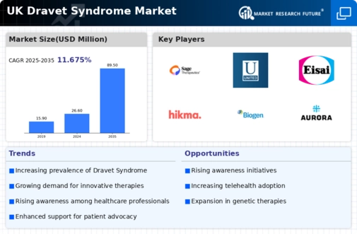 UK Dravet Syndrome Market Infographic