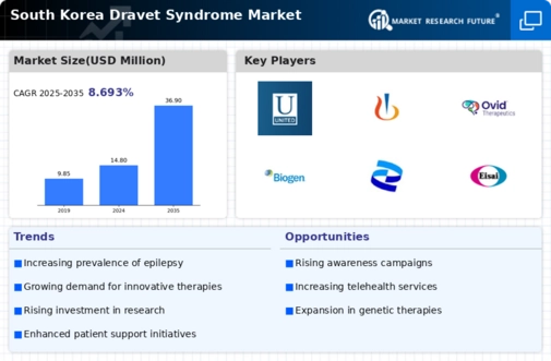 South Korea Dravet Syndrome Market Infographic