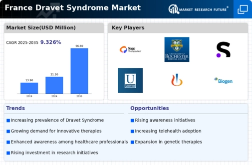 France Dravet Syndrome Market Infographic