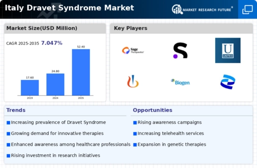 Italy Dravet Syndrome Market Infographic