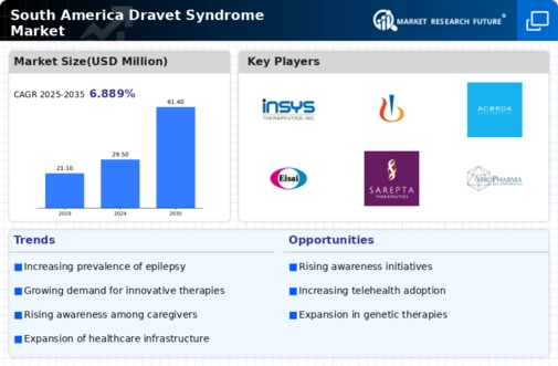 South America Dravet Syndrome Market Infographic