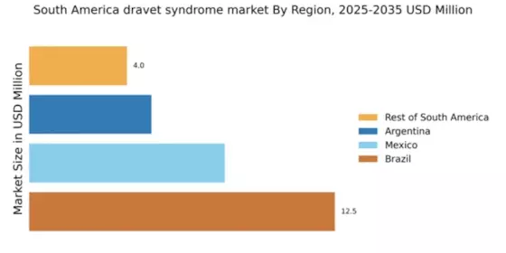 South America Dravet Syndrome Market Regional Image