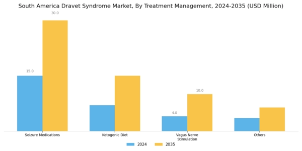 South America Dravet Syndrome Market Segment Image 2