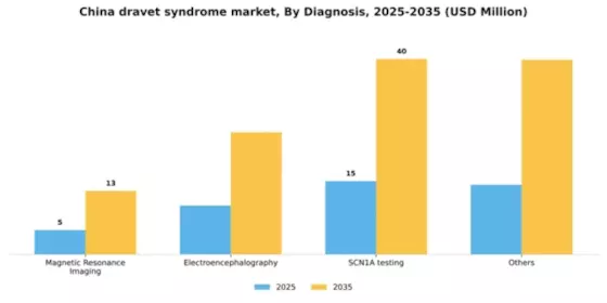 China Dravet Syndrome Market Segment Image 0