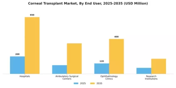Corneal Transplant Market Segment Image 1