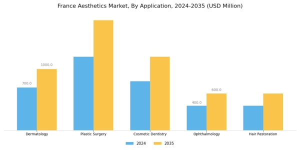 France Aesthetics Market Segment Image 0