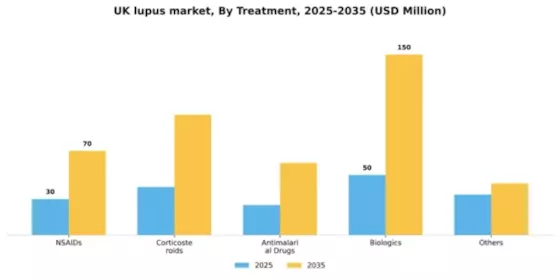 UK Lupus Market Segment Image 1