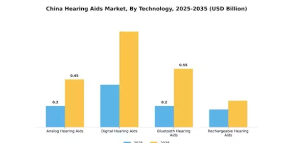 China Hearing Aids Market Segment Image 3