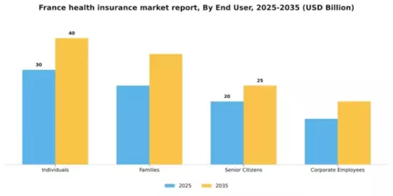 France Health Insurance Market Segment Image 1