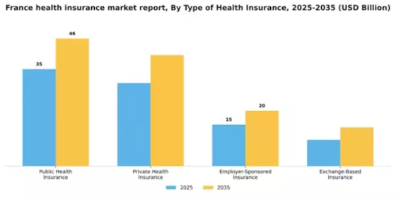 France Health Insurance Market Segment Image 3