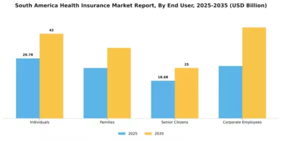 South America Health Insurance Market Segment Image 1