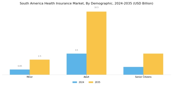 South America Health Insurance Market Segment Image 0