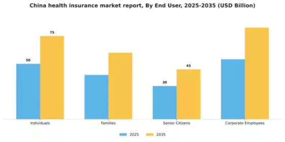 China Health Insurance Market Segment Image 1