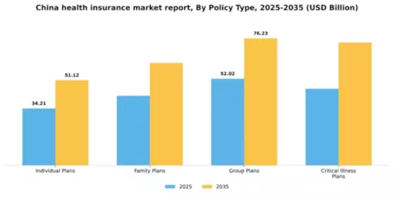 China Health Insurance Market Segment Image 2