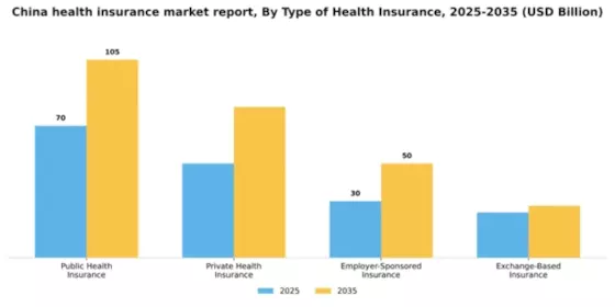 China Health Insurance Market Segment Image 3