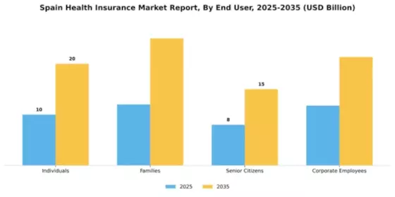 Spain Health Insurance Market Segment Image 1