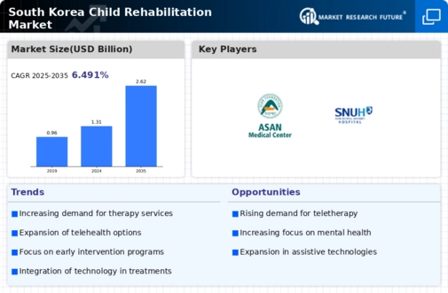 South Korea Child Rehabilitation Market Infographic