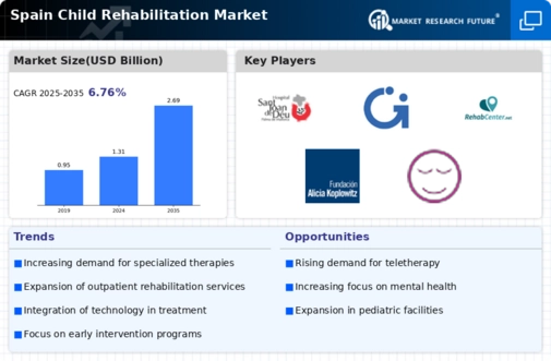 Spain Child Rehabilitation Market Infographic
