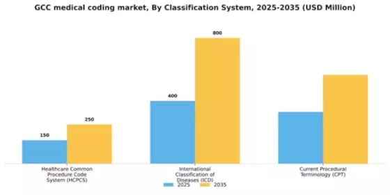 GCC Medical Coding Market Segment Image 0