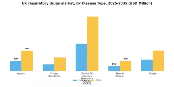UK Respiratory Drugs Market Segment Image 0