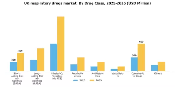 UK Respiratory Drugs Market Segment Image 2