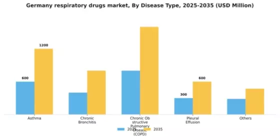 Germany Respiratory Drugs Market Segment Image 0
