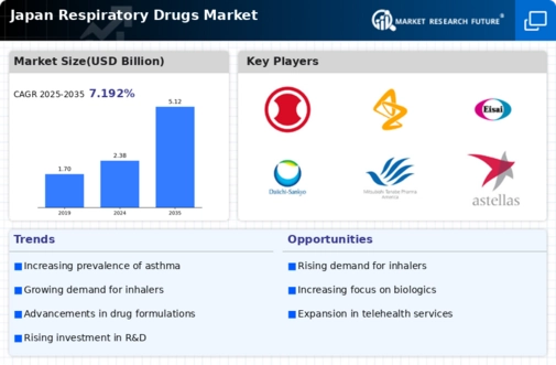 Japan Respiratory Drugs Market Infographic