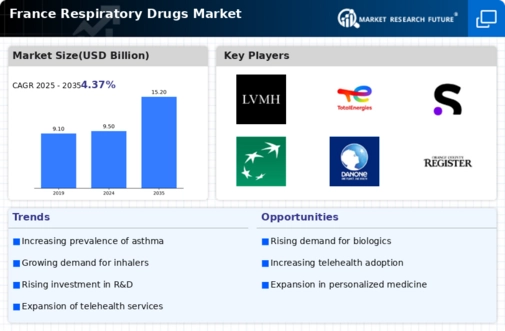 France Respiratory Drugs Market Infographic