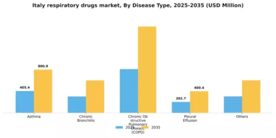 Italy Respiratory Drugs Market Segment Image 0