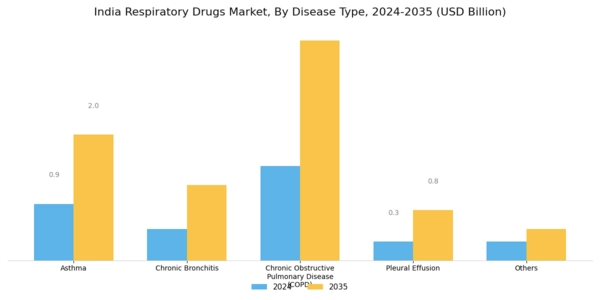 India Respiratory Drugs Market Segment Image 1