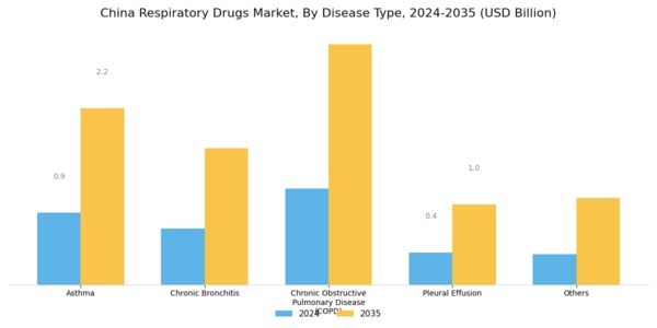 China Respiratory Drugs Market Segment Image 1