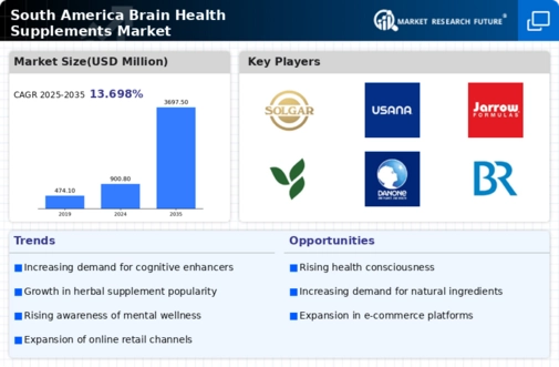 South America Brain Health Supplements Market Infographic