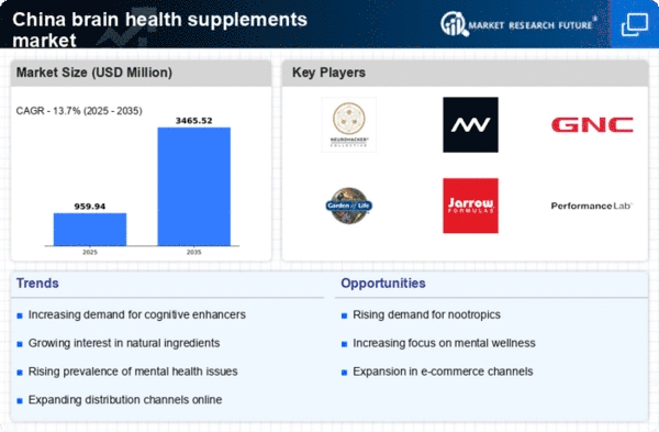 China Brain Health Supplements Market Infographic